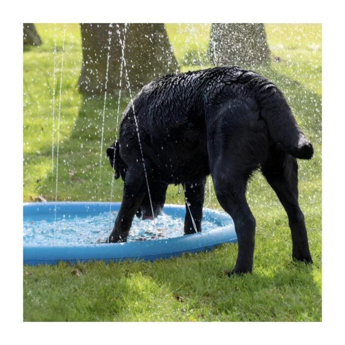 Coolpets Splash Pool Watersprinkler - Piscina para perros - Imagen 4