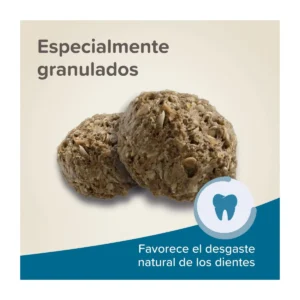 Brit care senior conejor