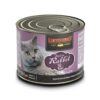 Leonardo Rabbit - Gatos adultos