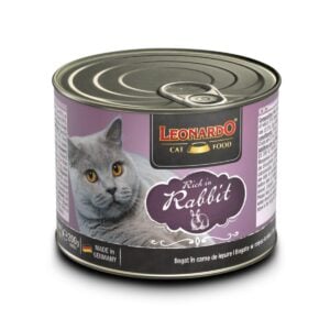 Leonardo Rabbit - Gatos adultos