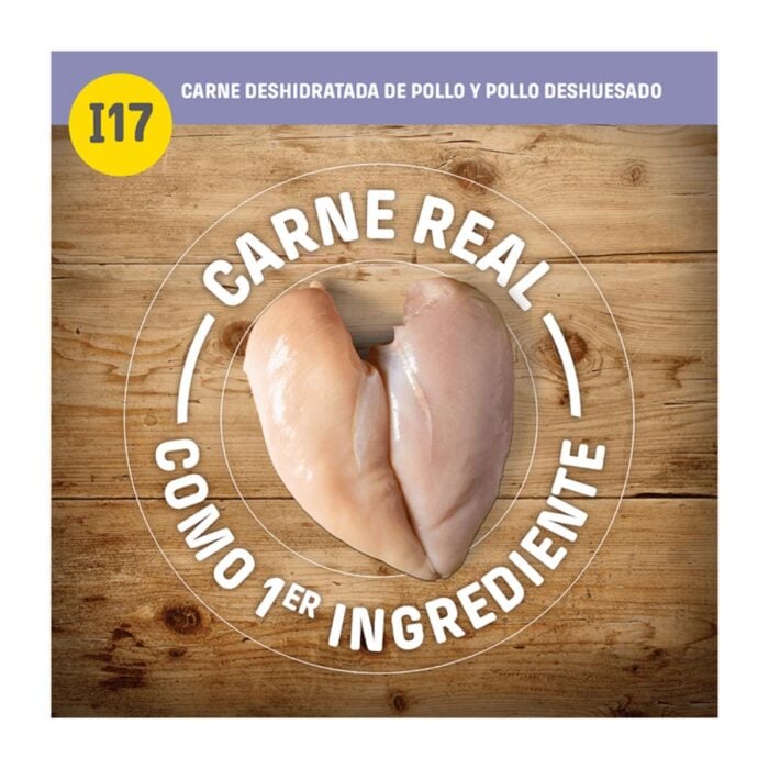 Nutram I17 Indoor Cat Chicken & Egg 2kg - Gatos de interior - Imagen 3