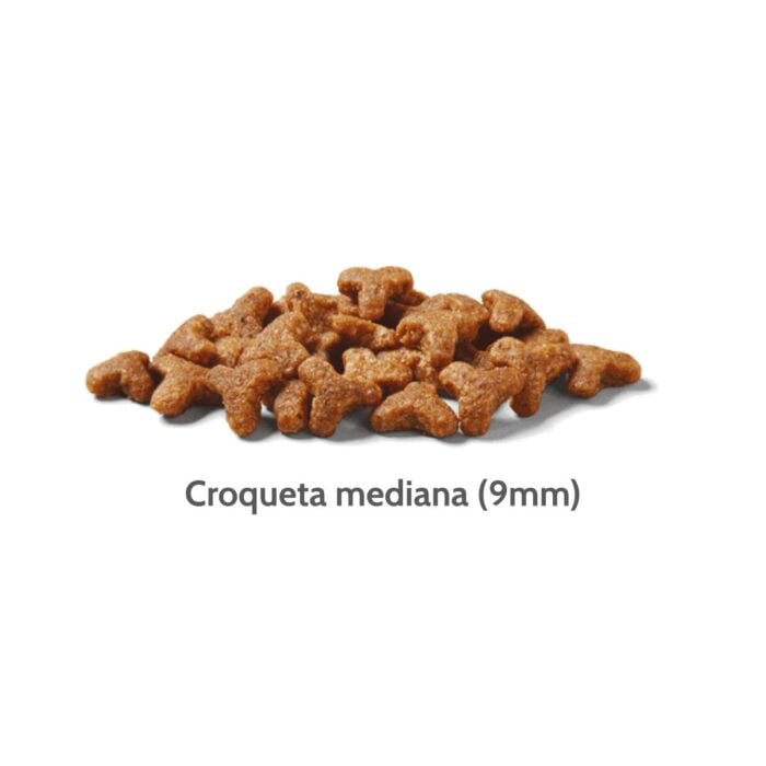 Nutram I19 Sensitive Skin, Coat & Stomach Chicken & Salmon 2kg - Imagen 2