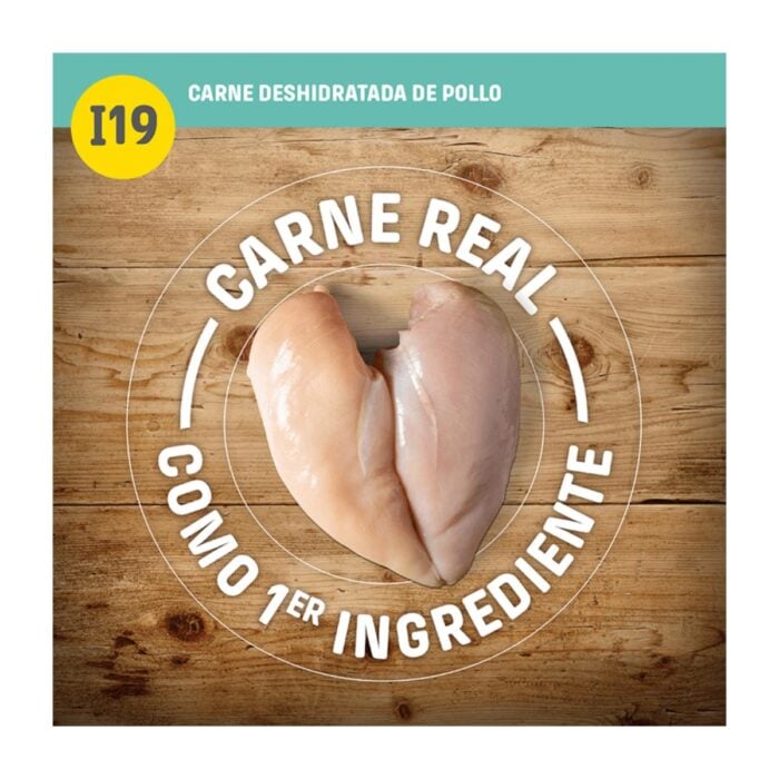 Nutram I19 Sensitive Skin, Coat & Stomach Chicken & Salmon 2kg - Imagen 3