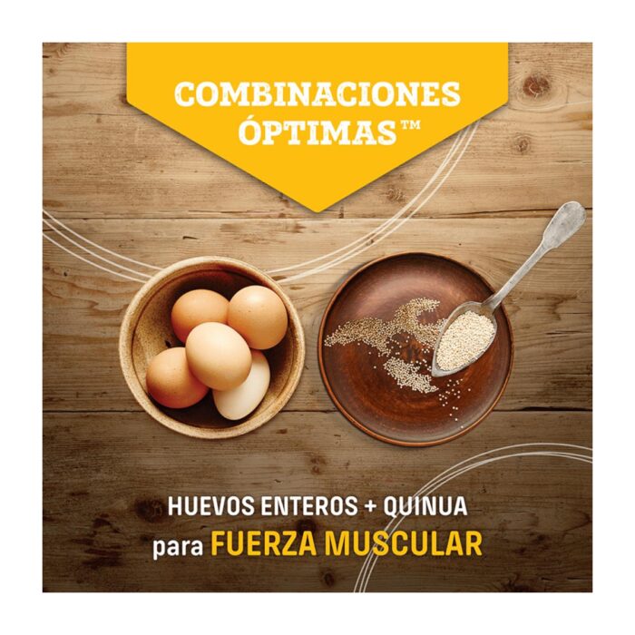 Nutram S3 Puppy Chicken & Oatmeal 11.4kg - Cachorros grandes - Imagen 5