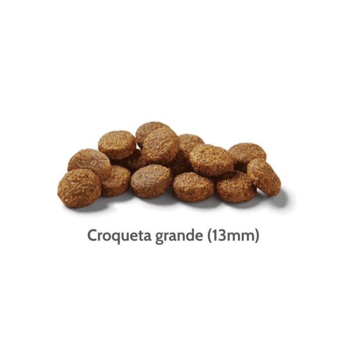 Nutram S3 Puppy Chicken & Oatmeal 11.4kg - Cachorros grandes - Imagen 2