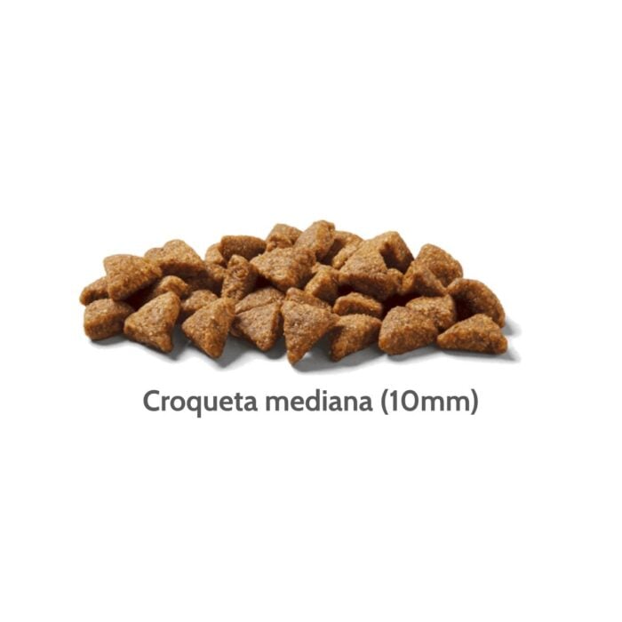 Nutram S5 Chicken & Salmon - Gatos adultos y senior - Imagen 2