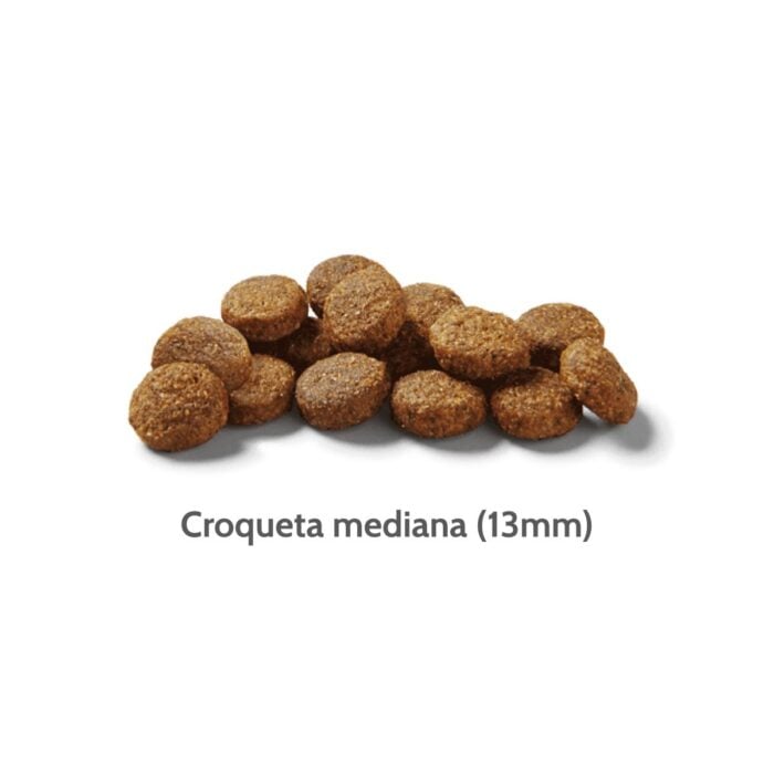 Nutram S6 Adult Chicken & Brown Rice - Adultos razas medianas - Imagen 2