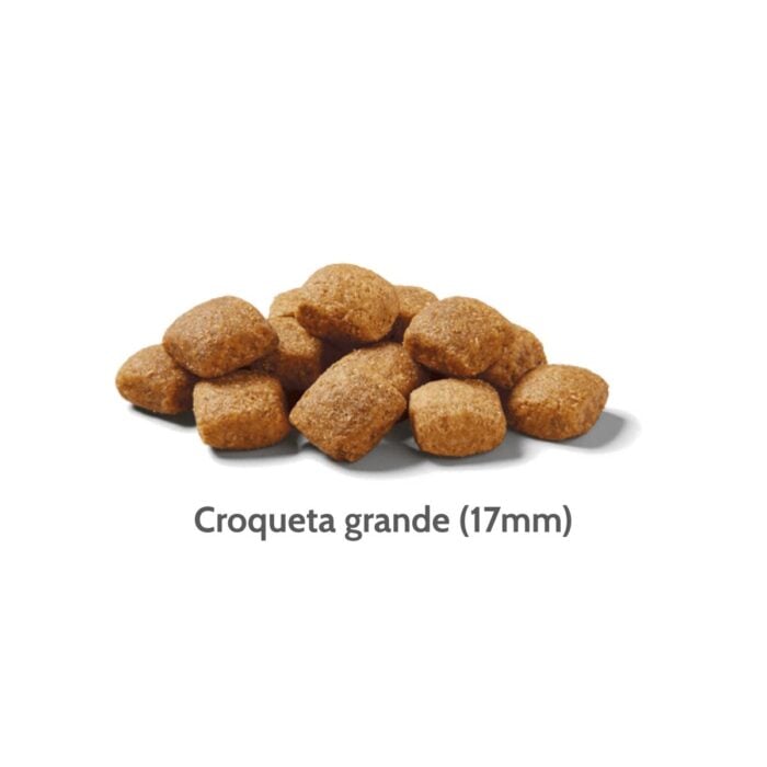 Nutram S8 Adult Chicken & Oatmeal 11.4kg - Razas grandes - Imagen 2