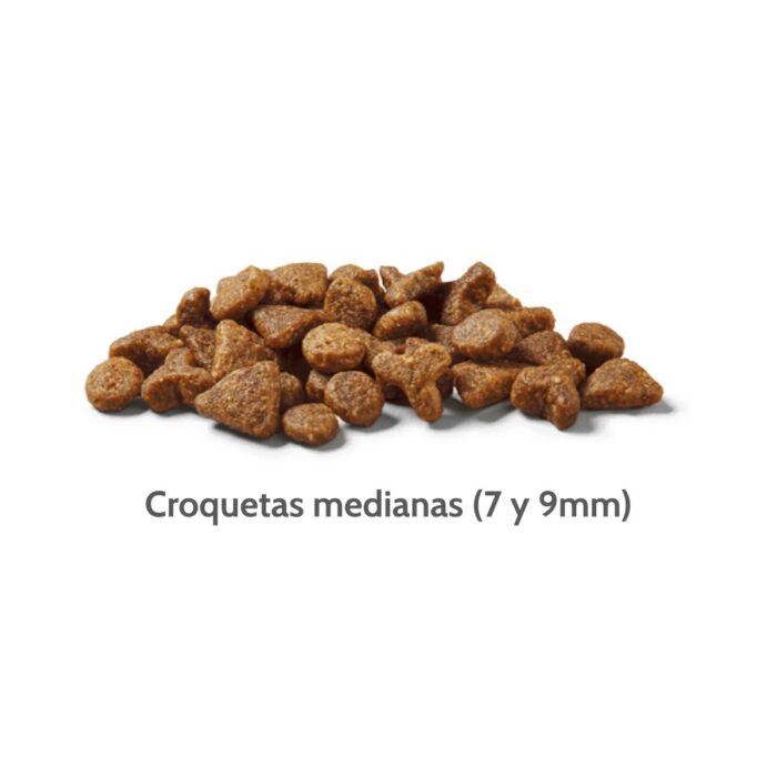 Nutram T22 Total Grain Free Chicken & Turkey - Todas las edades - Imagen 2