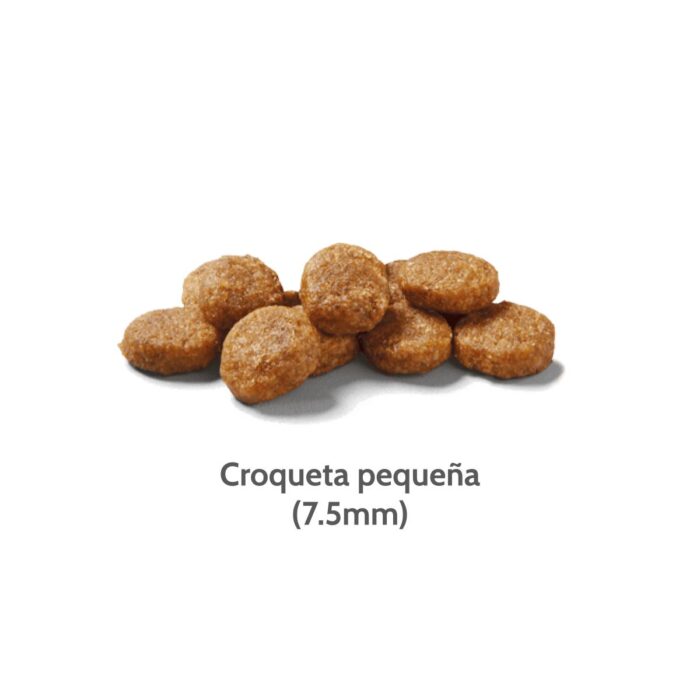 Nutram T28 Total Grain Free Trout & Salmon - Razas pequeñas - Imagen 2