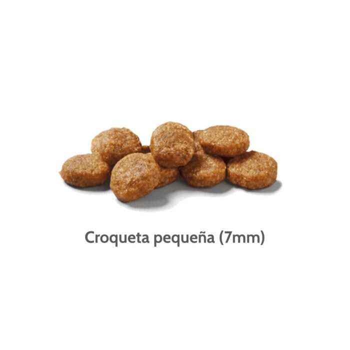 Nutram T29 Total Grain Free Lamb - Perros razas pequeñas - Imagen 2
