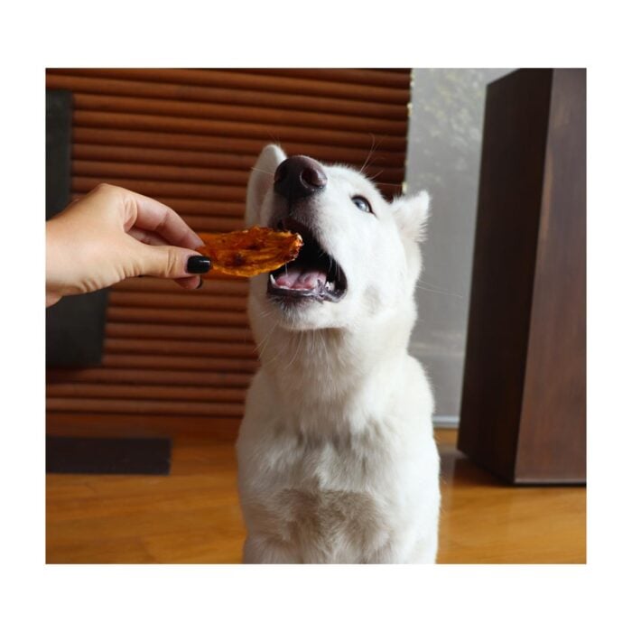 Barker Alitas de Pollo x 50un - Snack para perros - Imagen 2