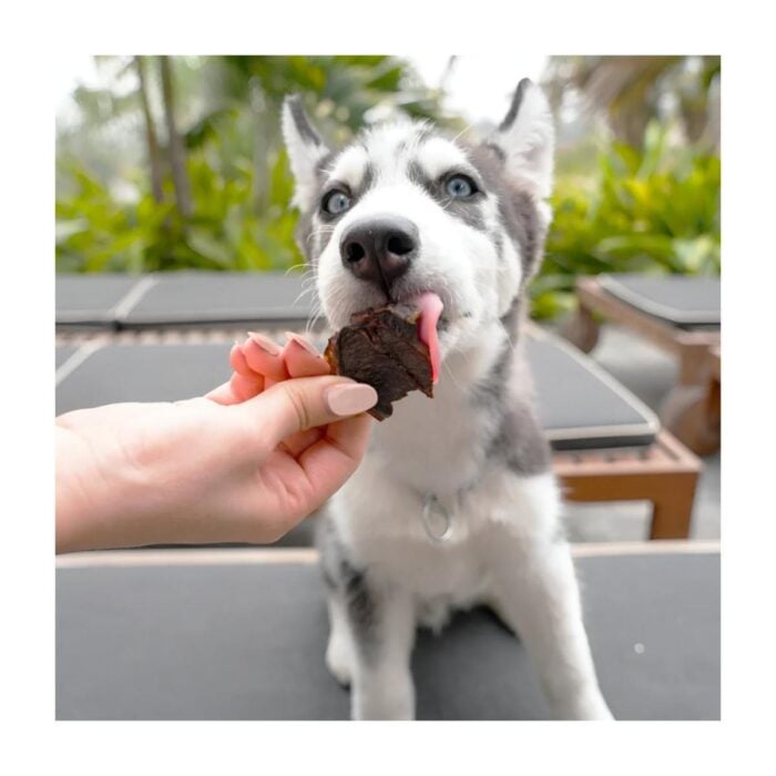 Barker Bites Bazo de Res 100gr - Snack para perros y gatos - Imagen 2