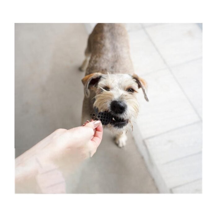 Barker Bites Mix 100gr - Snack para perros y gatos - Imagen 5