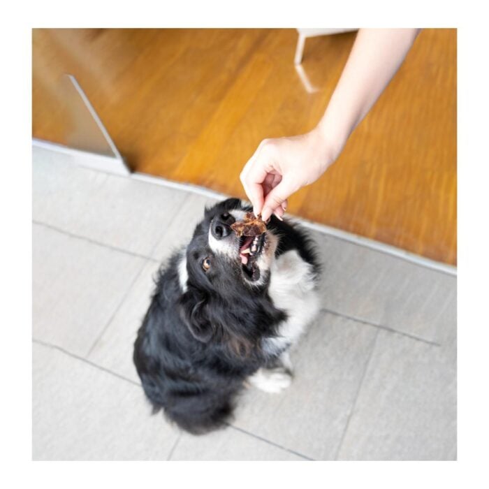 Barker Bites Mix 100gr - Snack para perros y gatos - Imagen 4