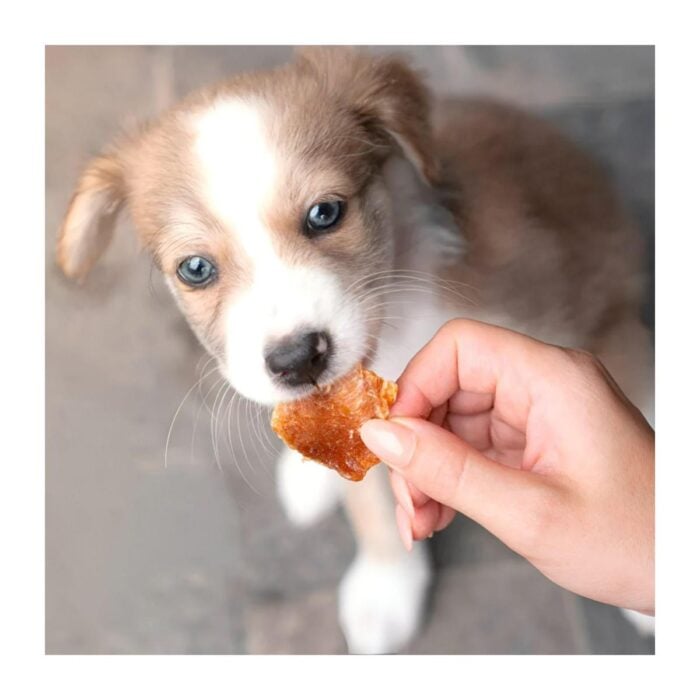 Barker Bites Pollo 100gr - Snack para perros y gatos - Imagen 2