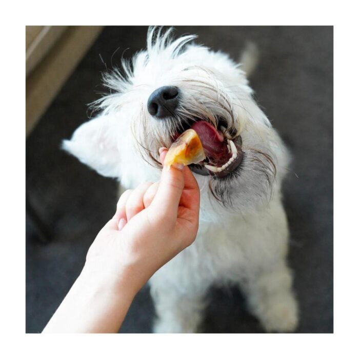 Barker Long Lasting Casquitos de Cerdo x 30un - Snack perros - Imagen 2