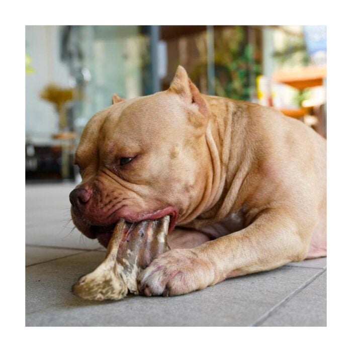 Barker Long Lasting Orejas de Res x 3un - Snack para perros - Imagen 2