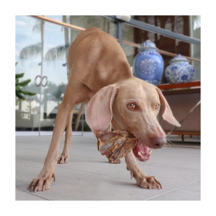 Barker Paleta de Cerdo Hueso Deshidratado - Snack para perros - Imagen 2