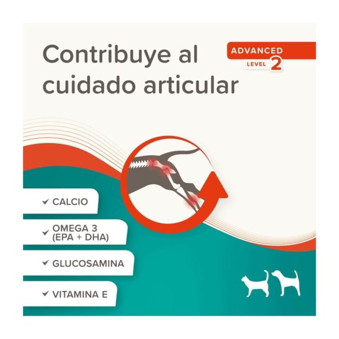 Beaphar Joint Paste Flexifit 250gr - Suplemento para Perros y Gatos - Imagen 3