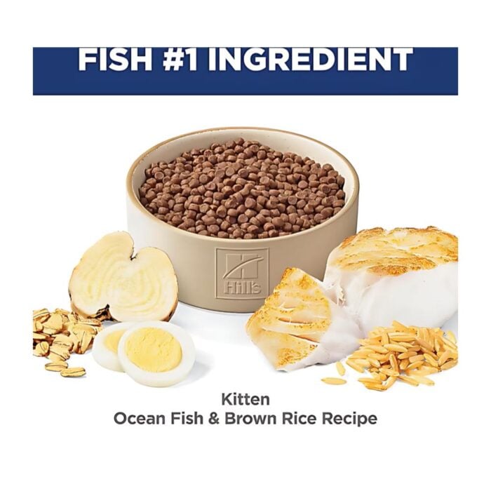 Hills SD Kitten Ocean Fish 1.6kg - Gatitos - Imagen 4