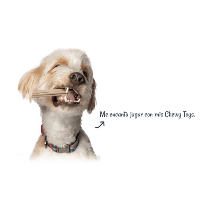 Mimma Chewy Toys Pollo Asado 100gr - Snack razas med y gr - Imagen 3
