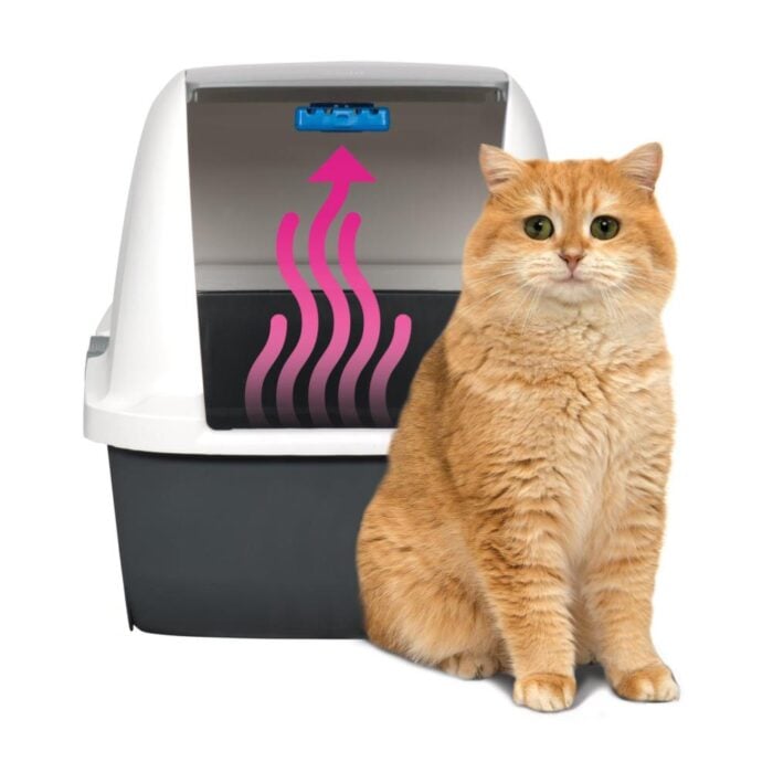 Cat it Magic Blue Filtro x 6un - Repuesto para Literas - Imagen 3
