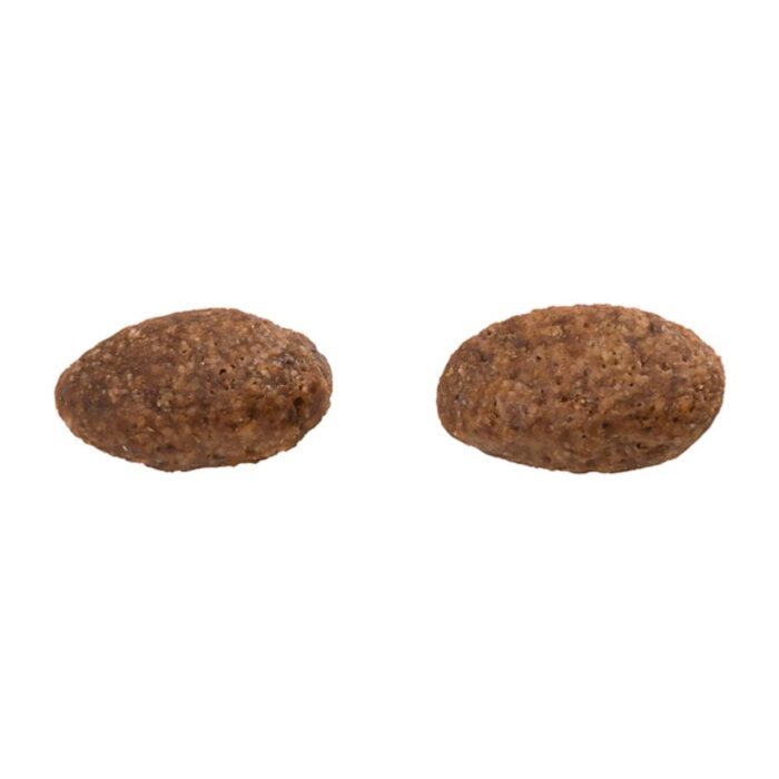 Guabi Natural Cordero y Avena 12kg - Adultos razas gr y gigante - Imagen 4
