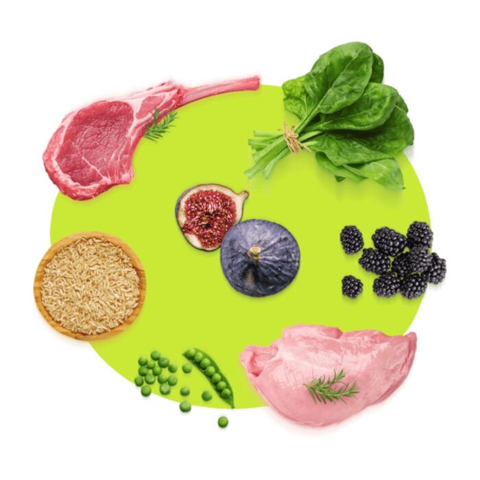 Guabi Natural Grain Free Pollo y Lentejas 10kg - Raza mini y peq - Imagen 4