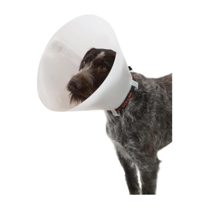 Kruuse Buster Collar Isabelino Clasico - Perros y Gatos - Imagen 2