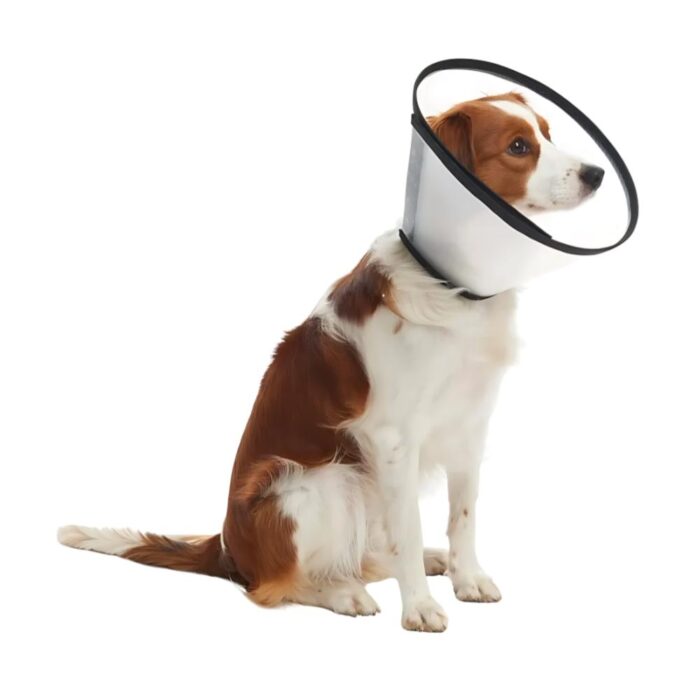Kruuse Buster Quick Collar Isabelino - Perros y Gatos - Imagen 2