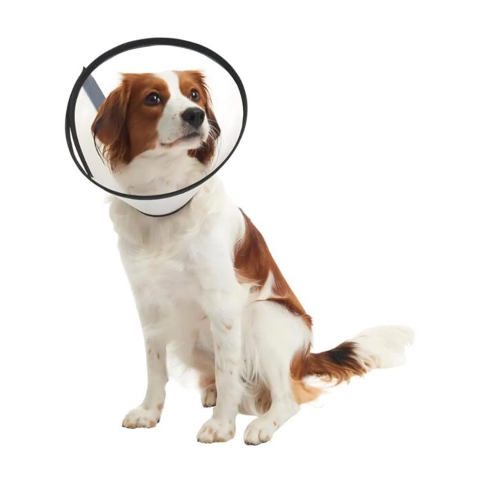 Kruuse Buster Quick Collar Isabelino - Perros y Gatos - Imagen 3