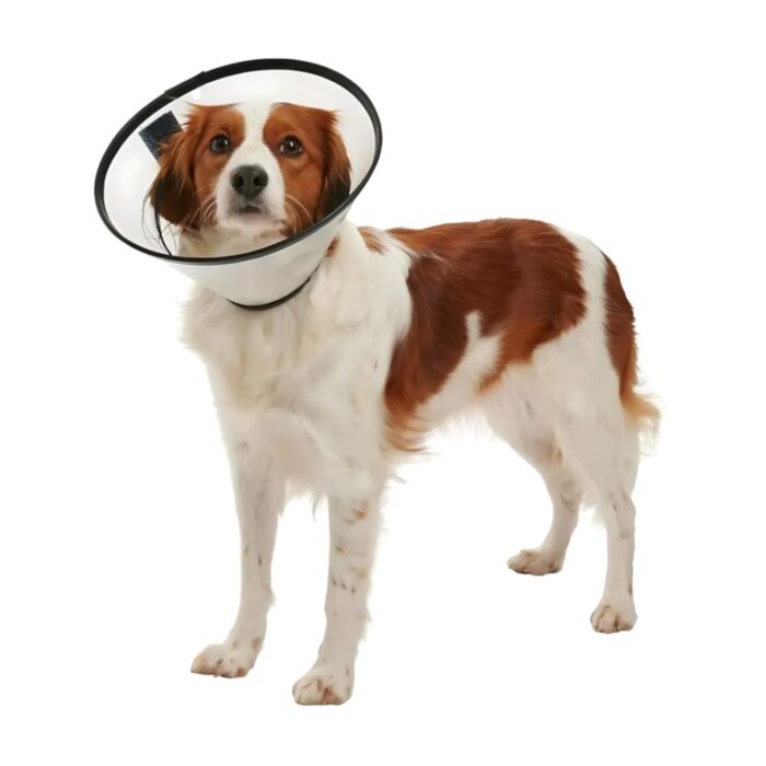 Kruuse Buster Quick Collar Isabelino - Perros y Gatos - Imagen 4
