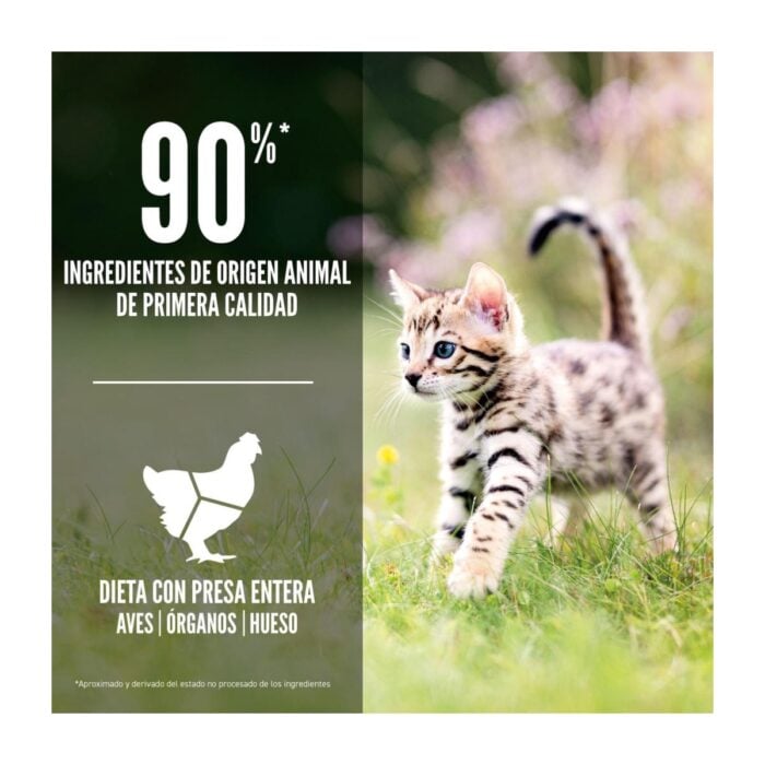 Orijen Kitten 1.8kg - Gatitos - Imagen 4