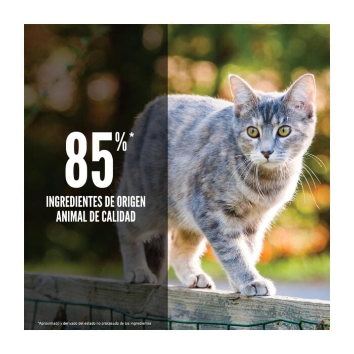 Orijen Original Cat 5.4kg - Gatos todas las edades - Imagen 4