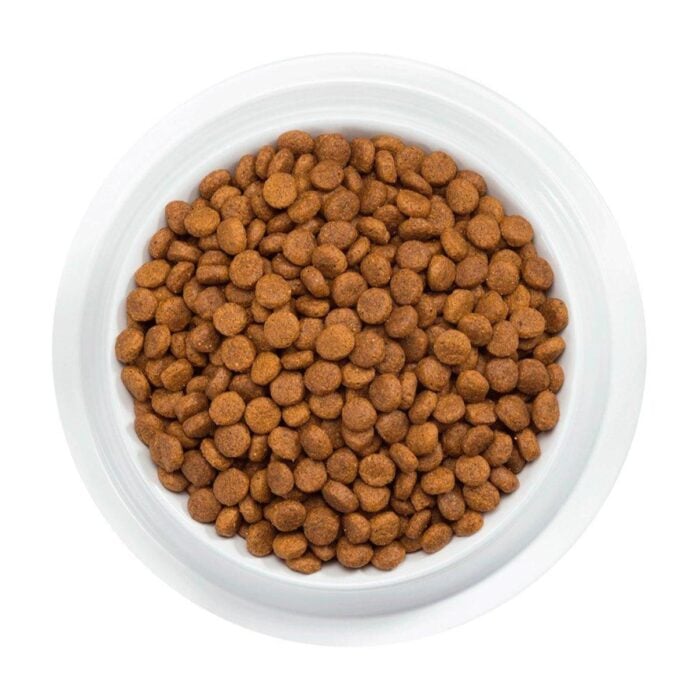 Pro Plan Adult Cat 7+ 3kg – Gatos senior - Imagen 3