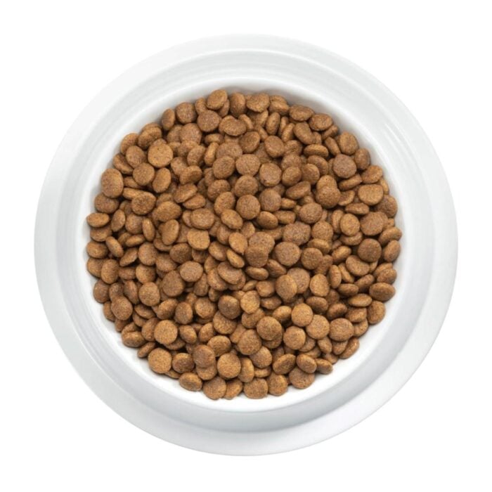 Pro Plan Adult Cat All Breeds – Gatos adultos - Imagen 3