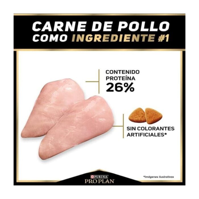 Pro Plan Adulto Razas Medianas – Alimento para Perros - Imagen 4
