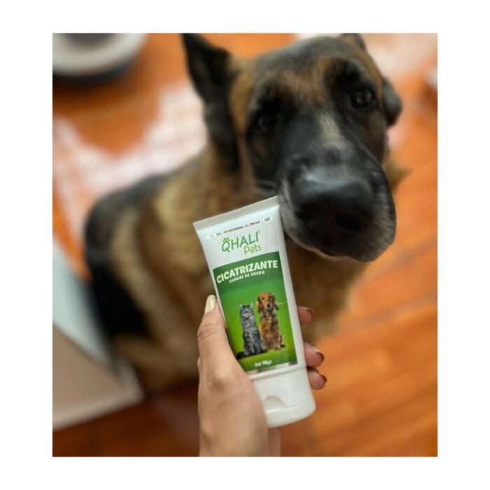 Qhali Pets Cicatrizante 90gr - Gel para Perros y Gatos - Imagen 3