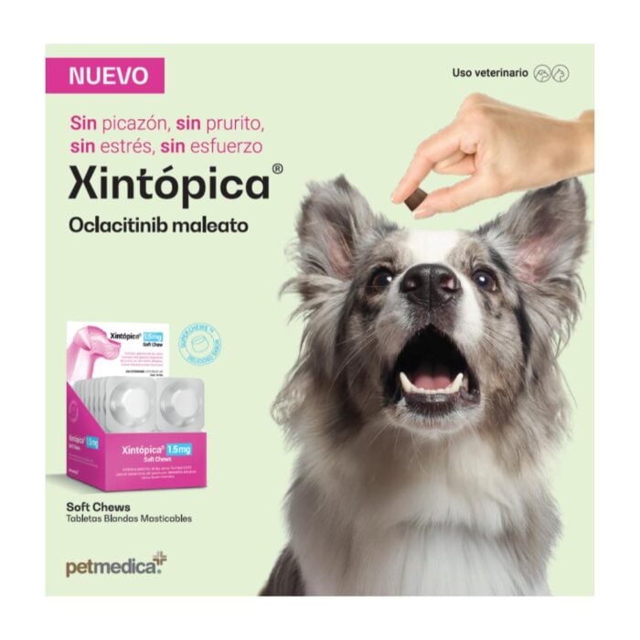 Xintópica 3 mg x 4 tabs - Perros con alergias en la piel - Imagen 4