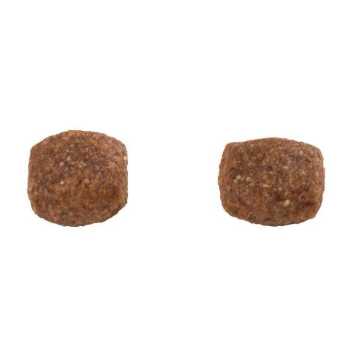 Guabi Natural Pollo y arroz 12kg - Cachorros rza grandes y gigante - Imagen 4