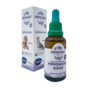 EF Flores Bach Armonizar