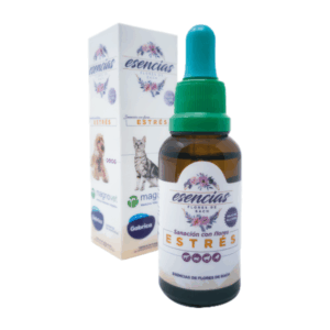 EF Flores Bach Stress