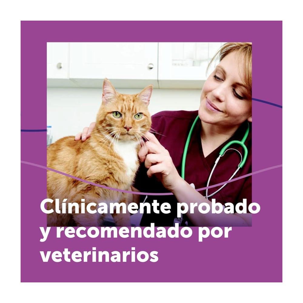 Feliway Classic Repuesto 48ml - Feromonas para gatos - Imagen 6