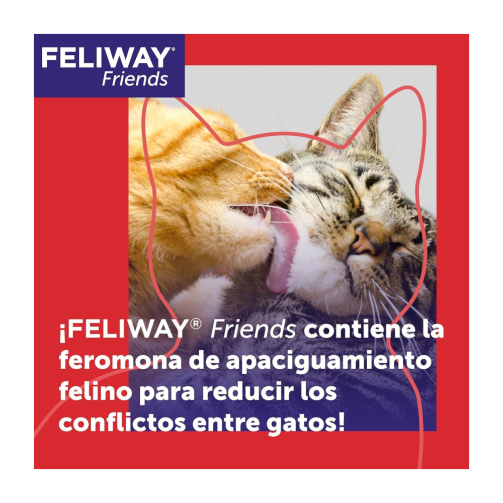 Feliway Friends Repuesto 48ml - Feromonas para gatos - Imagen 2