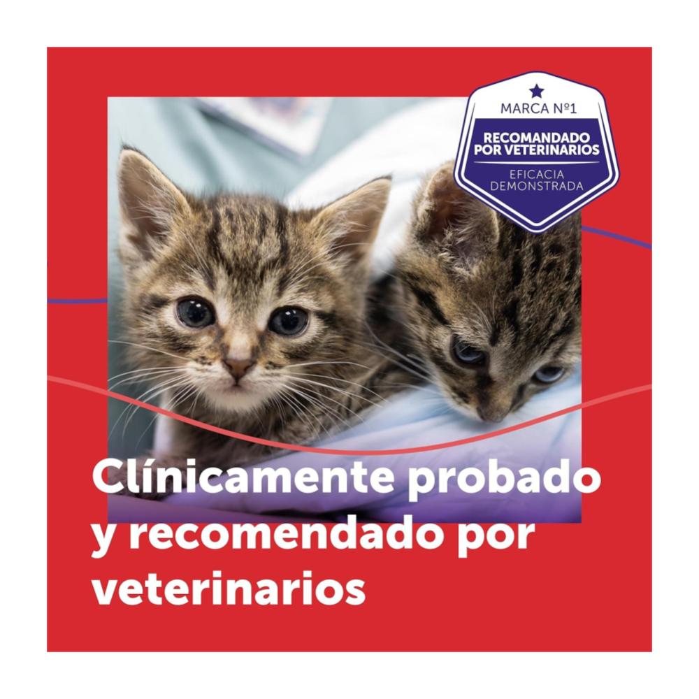 Feliway Friends Repuesto 48ml - Feromonas para gatos - Imagen 6