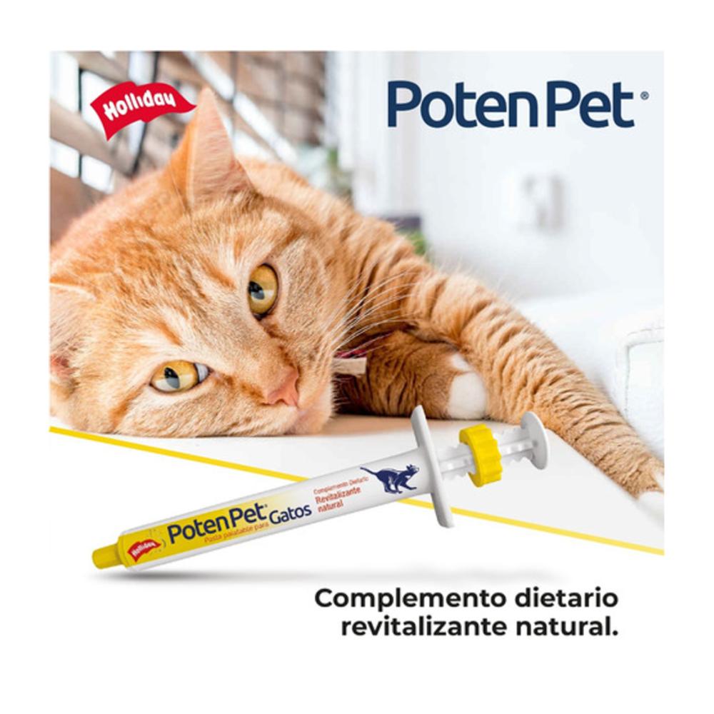 Holliday PotenPet Pasta