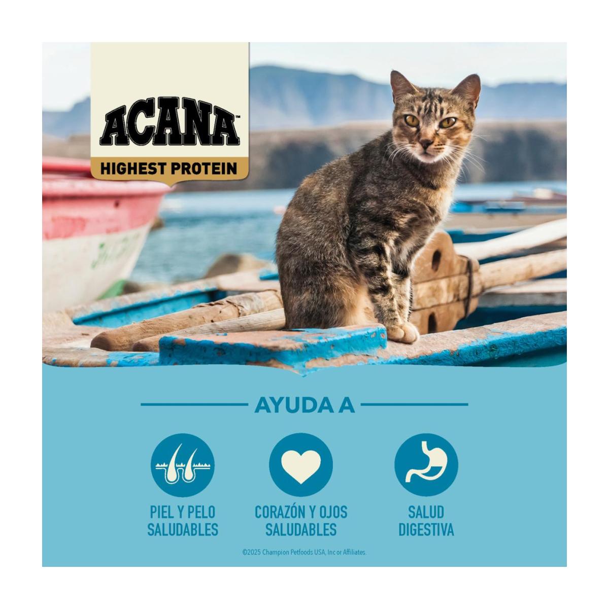 Acana Wild Atlantic 1.8kg - Gatos todas las etapas de vida - Imagen 6
