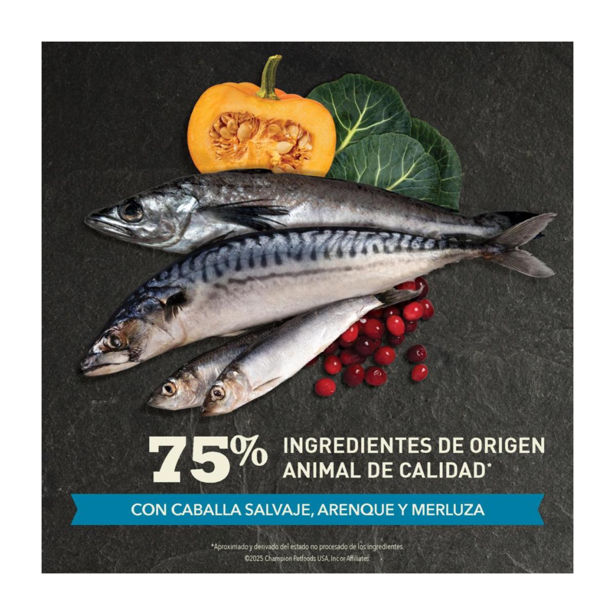 Acana Wild Atlantic 1.8kg - Gatos todas las etapas de vida - Imagen 10