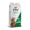 Holliday MV Gastrointestinal